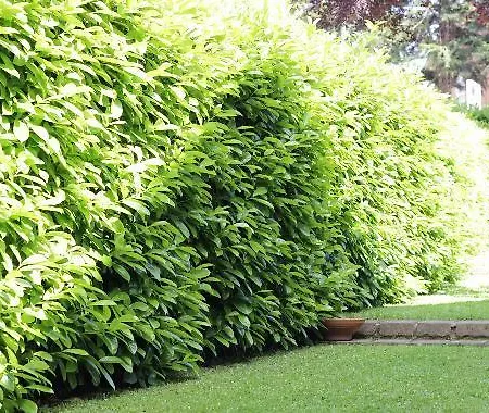 Bed and breakfast La Casa Di Muro 3*